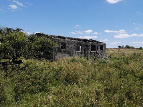 Imagen 4 de 14 de Campo A La Venta - Ruta 65 Km 90 - 11 Has . Índice Coneat 156, Ute Y Ose A 350 Mts.