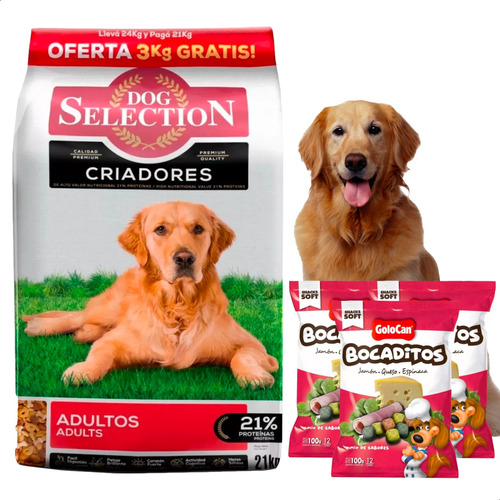 Alimento Dog Selection Perro Adulto 24kg + Golocan Bocaditos