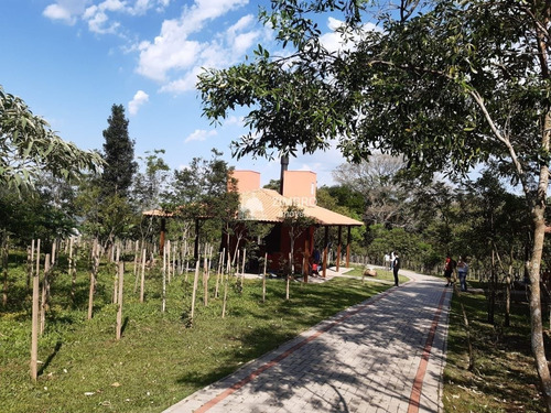 Imagem 19 de 30 de Lote De Revenda Condomínio Fechado Real Park Santa Maria - 84990