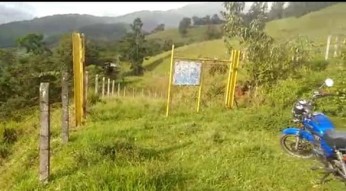 Imagen 5 de 12 de Venta Hermosa Finca En El Junco Estado Tachira