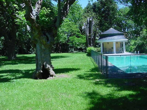 Imagen 15 de 22 de Importante Residencia Sobre Media Manzana De Lote, Bajo De San Isidro