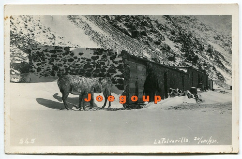 Postal Caballos En La Polvorilla Nevada Salta 1930