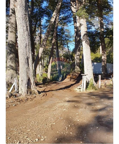 Su Refugio Soñado En Futaleufú