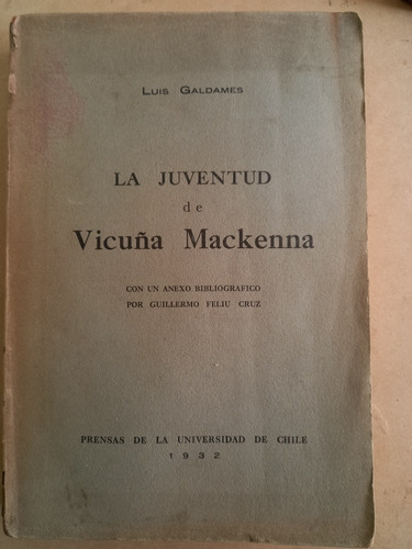 La Juventud De Vicuña Mackenna - Luis Galdames