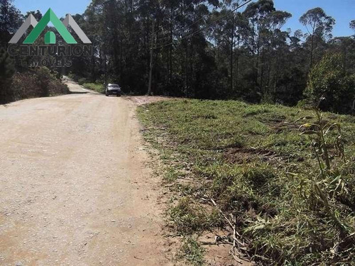 Lote Residencial De 2,500 M² Na Chácara Recanto Verde - 417