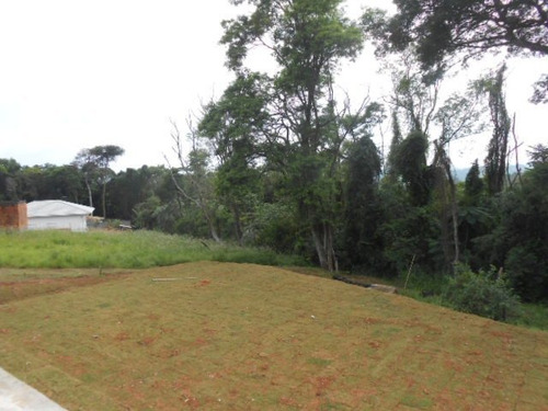 Imagem 13 de 20 de Chácara Para Comprar Terras De São Francisco Jundiaí - Baa567