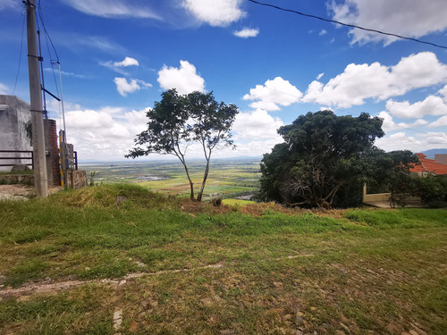 Terreno Encinos 602.30 M2 Fracc. Lomas Del Valle En Sahuayo Michoacan