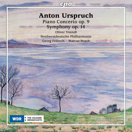 Cd: Piano Concerto 9