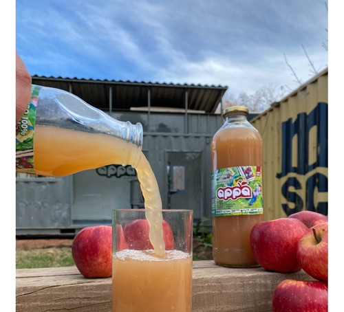 Jugo 100% Natural De Manzana Appa - Medio Litro