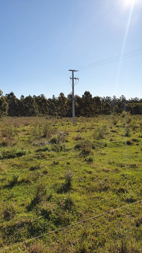 Terreno Lotes Federacion - Entre Rios 1080m2 -a 1,5km De Termas!