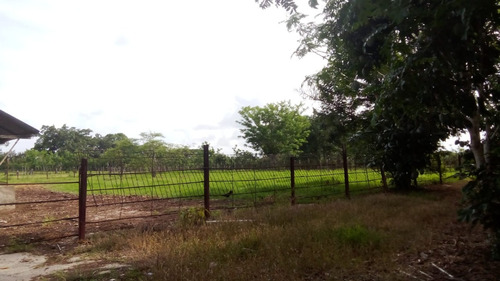 Vendo Finca De 330 Tareas En Luisa Blanca Monte Plata, República Dominicana