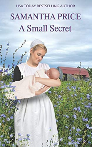 Libro:  A Small Secret (amish Romance Secrets)