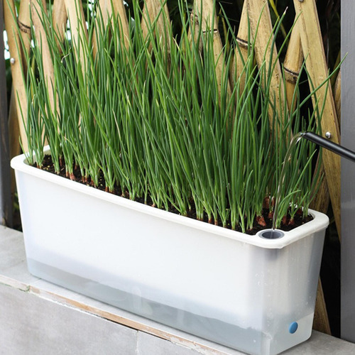 Maceta Para Ventana, Transpirable, Multiusos, Con
