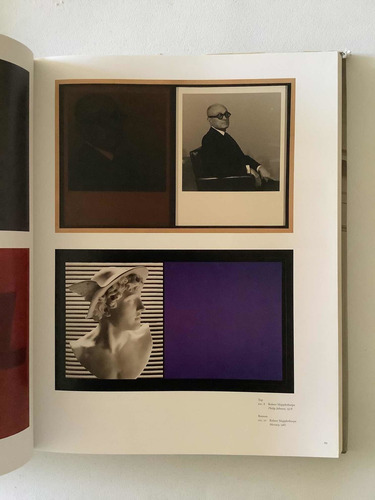 Mapplethorpe - Perfection In Form (Usado)