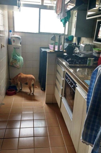 Imagem 3 de 19 de Apartamento Com 3 Dormitórios À Venda, 59 M² Por R$ 370.000,00 - Parque São Jorge - São Paulo/sp - Ap1483