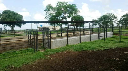 Imagen 13 de 16 de Venta Finca En Yaracal Estado Falcón