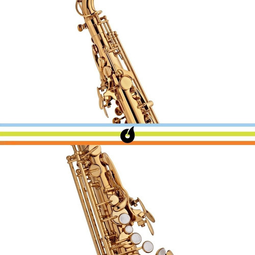 Saxofone alto Jupiter Jas1100q série 1100 com estojo