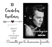 Comprar Caratulas Imprimibles Tamaño A4 Harry Styles #1 Editables