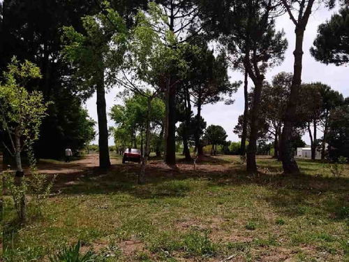 Imagen 4 de 6 de Lote En Venta En Mar De Ajo