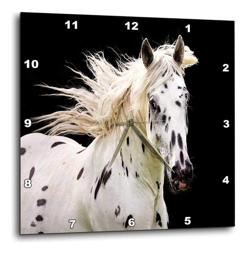 Reloj De Pared Con Imagen De Caballo Appaloosa Tamaño 25x25