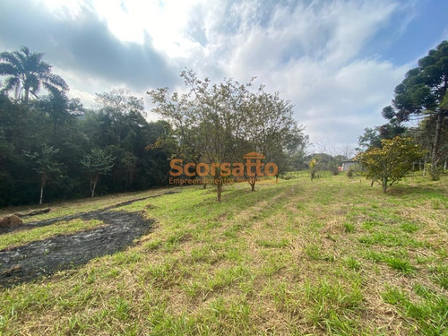 Imagem 6 de 11 de Chácara À Venda, Potuvera, Itapecerica Da Serra/sp. - 5945