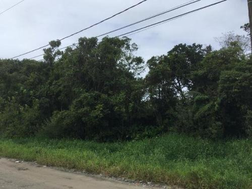 Terreno De Chácara À 1km Da Rodovia (mx)