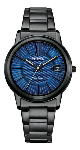 Citizen Ecodrive Lady  All Black Fe6017-85l ....... Dcmstore