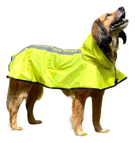 comprar Capa De Chuva Pet Cao Emborrachada Golden Porte Grande X X G