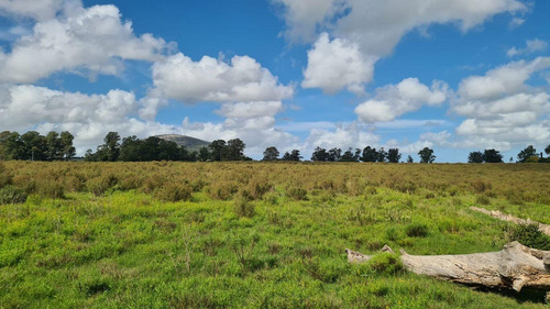 Chacras De 3 Hectáreas Sobre Ruta Interbalnearia Desde 95.000 Dólares, Oportunidad!