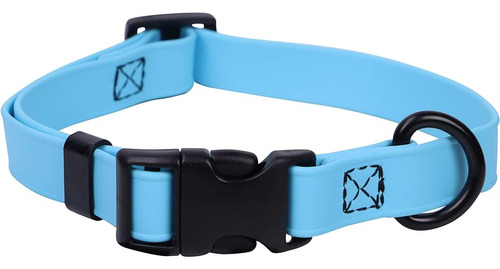 Regal Dog Products Collar Impermeable Azul Cielo Pequeño De 