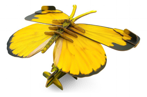 Makebug Fidget Toys Rompecabezas De Papel 3d Ecológicos Para