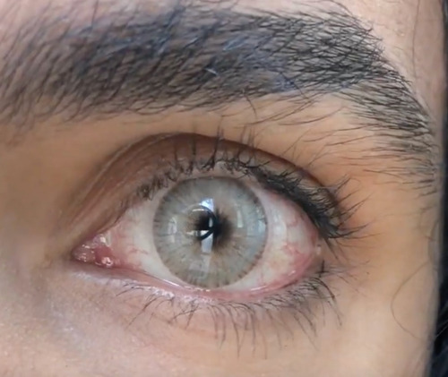 Imagen 8 de 10 de Urban Layer - Gogh N Brown Lentes De Contacto
