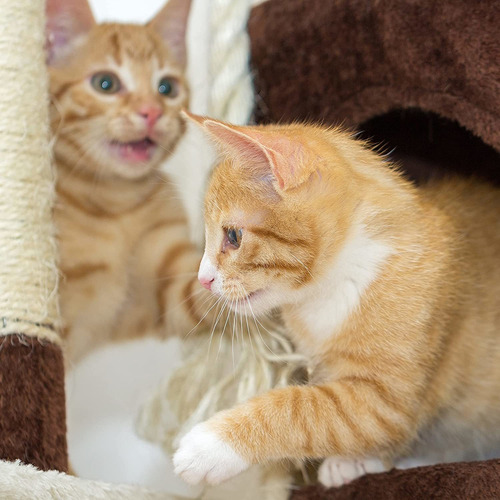 Petmaker Penthouse Sleep And Play Cat Tower - Cama Para Masc