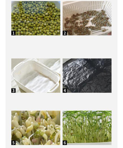 Py Bandeja De Germinação, Vaso De Plantio, Placa De Base