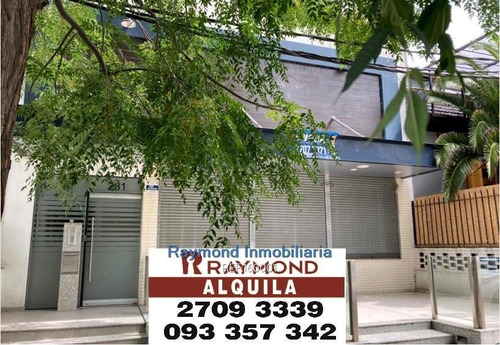 Excelente Local Comercial A Metros Del Shopping