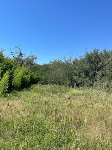 Exclusivo Campo En Venta Comuna San Isidro - La Quintana