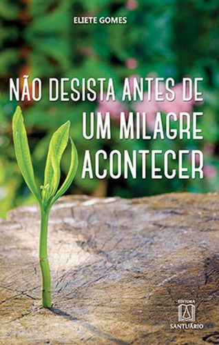Nao Desista Antes De Um Milagre Acontecer, De Gomes, Eliete. Editora Santuario, Capa Mole Em Português