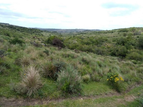 Campo En Venta