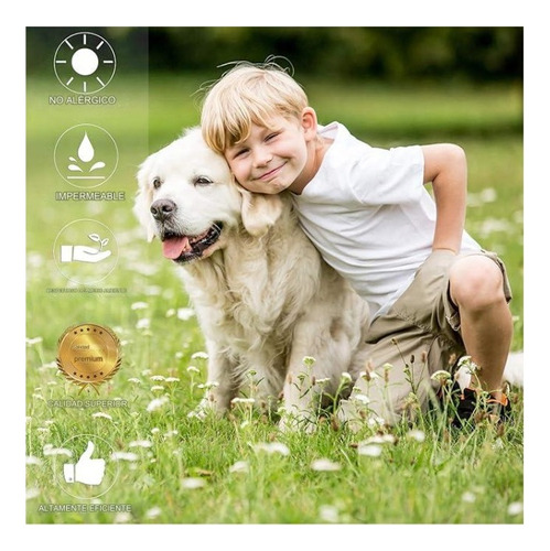 Collar Anti Pulga Repelente Para Perro 8 Meses De Protección