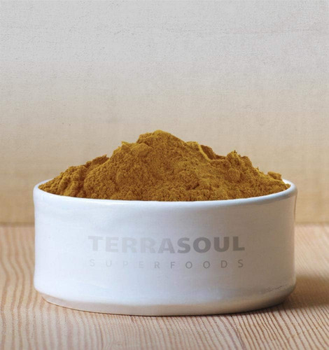 Reishi Rojo Hongo Adaptogeno Organico Polvo Premium Eg J37
