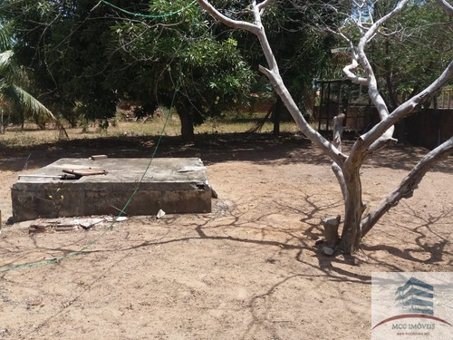 Imagem 25 de 28 de Granja A Venda Em Massaranduba, Ceará Mirim