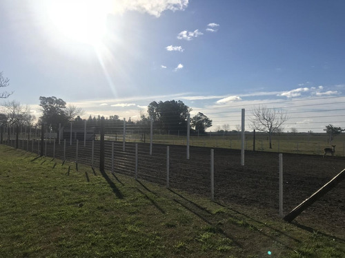 Imagen 25 de 29 de Campo En Venta En Magdalena Ruta 11 Dacal Bienes Raices