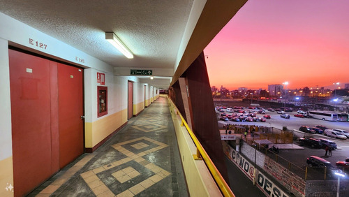 Palco Norte Central