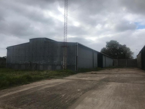 Venta Local Industrial Y Depósito En Zona Belvedere