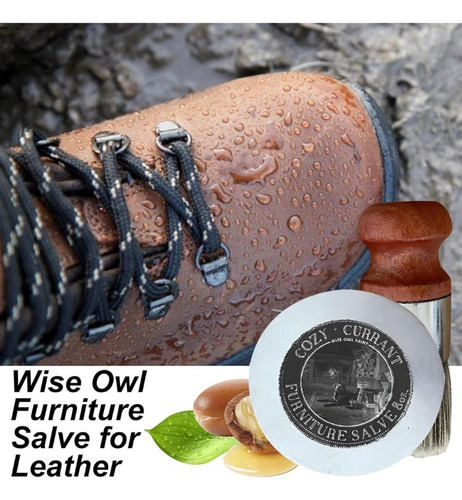 Wise Owl Furniture Salve,muebles Piel Con Cepillo Para Polvo