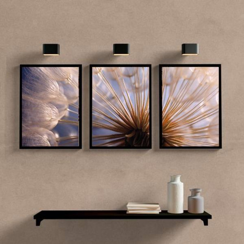 Juego de 3 marcos complementarios Dandelion, 33 x 24 cm, color negro