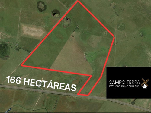 Cañuelas Venta Campo Para Engorde 166 Hectareas Oportunidad