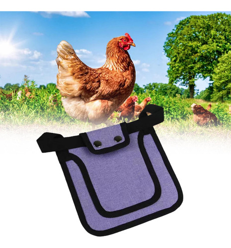3 Sillas De Montar Para Pollo, Silla De Gallina Violeta