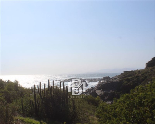 Imagen 6 de 7 de Sitio En Venta En Zapallar