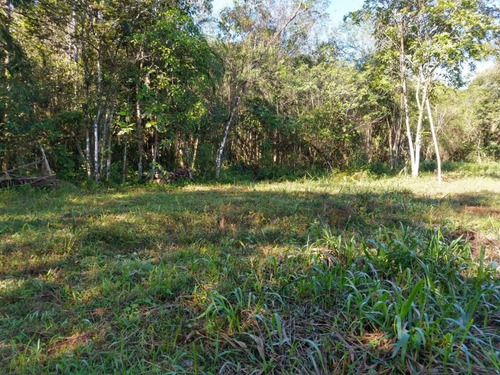 Imagem 14 de 21 de Linda Chácara Medindo 5,7 Alqueires Localizada No Anhaia Por R$280.000 Morretes Pr - Ch0147
